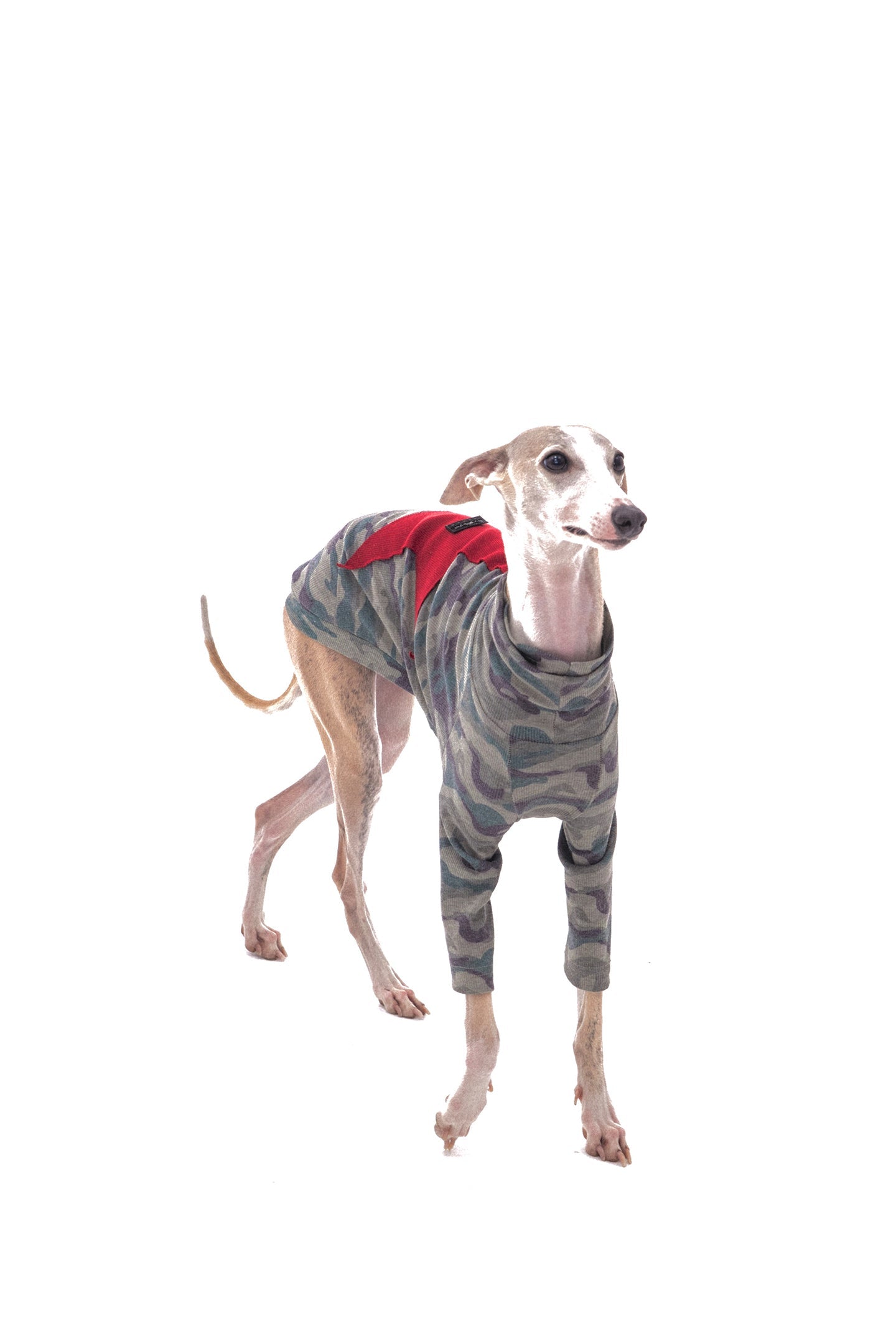 Star Camouflage Dog Jacket - PSYLOS 1, Star Camouflage Dog Jacket, Dog Jacket, NyDkyel, PSYLOS 1